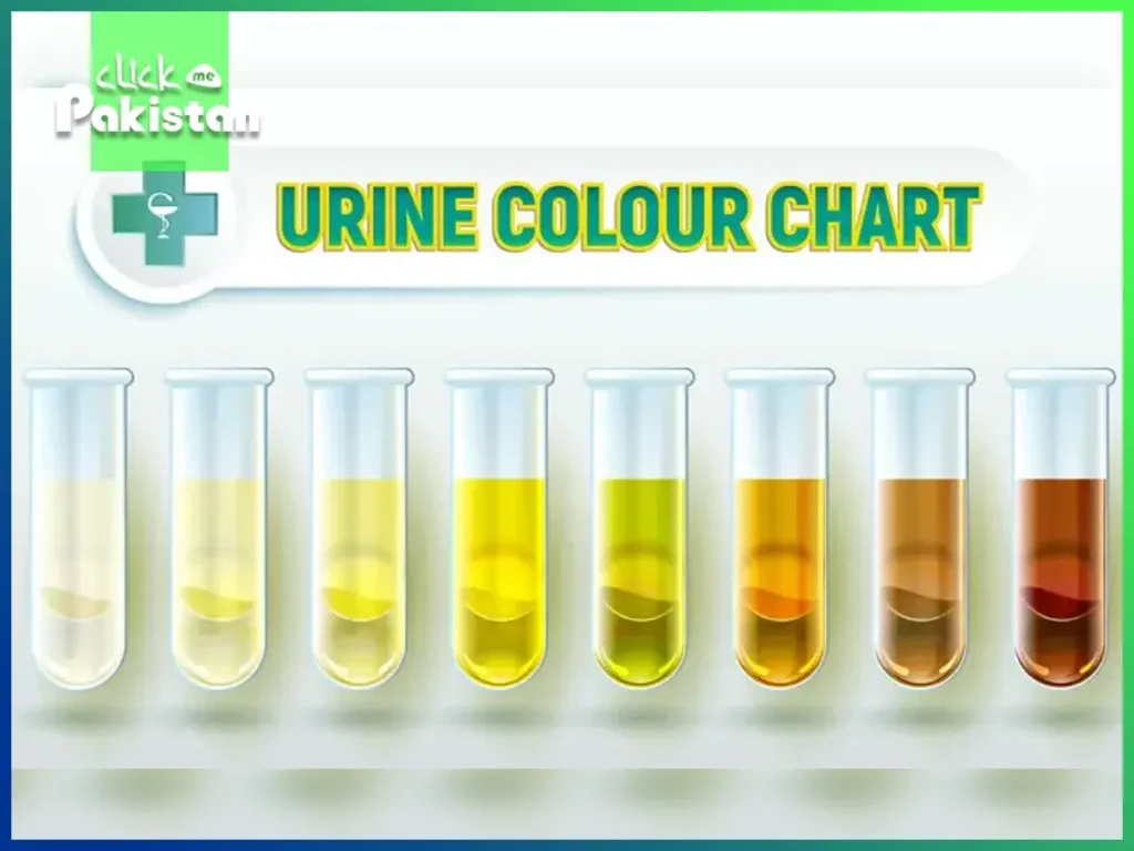 What Does Your Pee Color Say About Your Health?