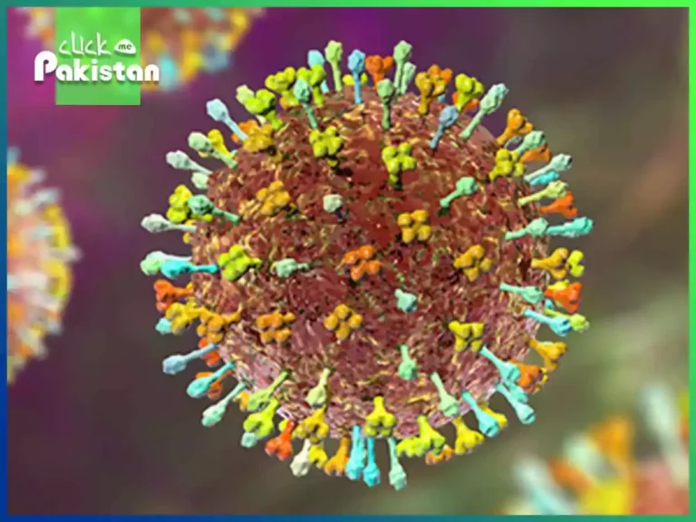 Nipah Virus