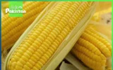 Benefits of Corn