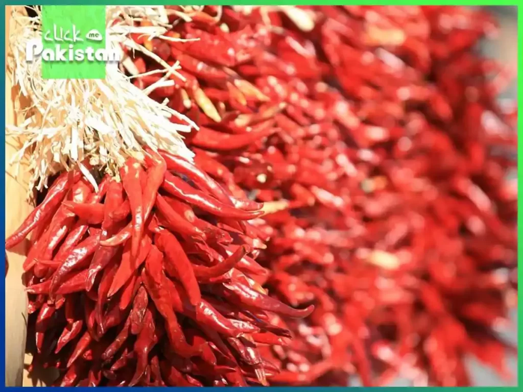 Pakistan Sends First Batch of Dried Chillies to China