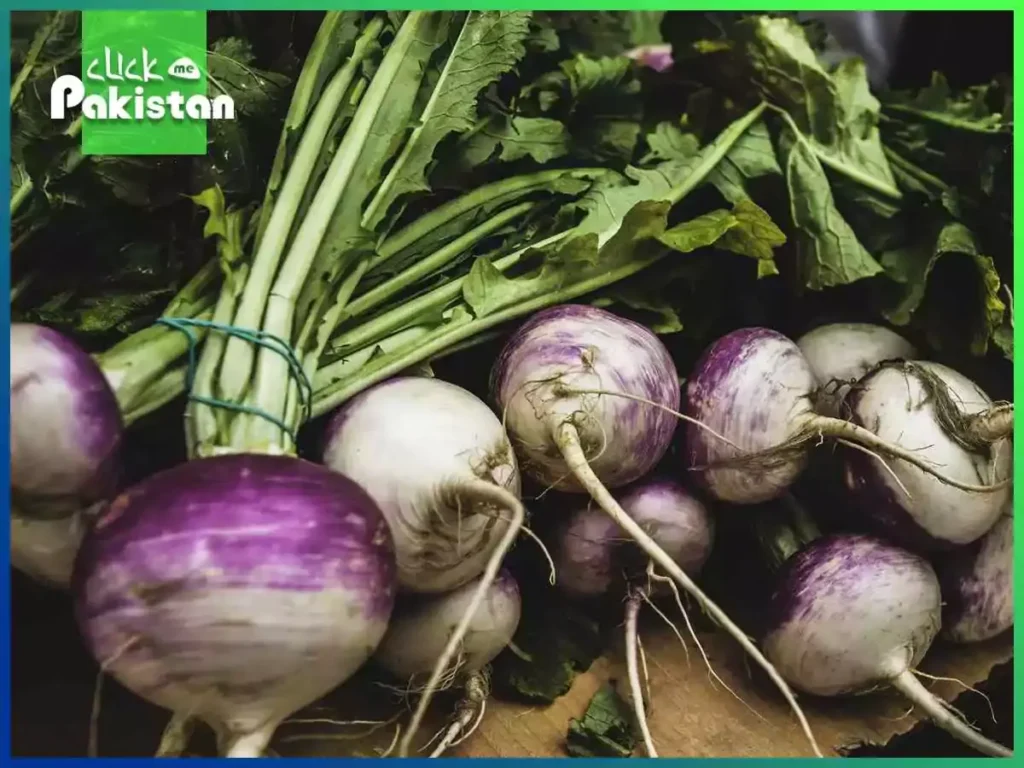 Turnip Health Benefits: A Nutrient-Packed Boost for Well-being