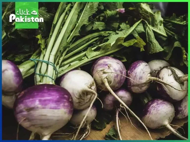 Turnip Health Benefits