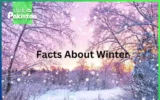 facts About Winter
