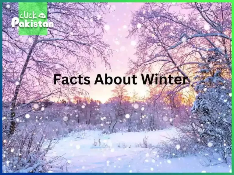 facts About Winter