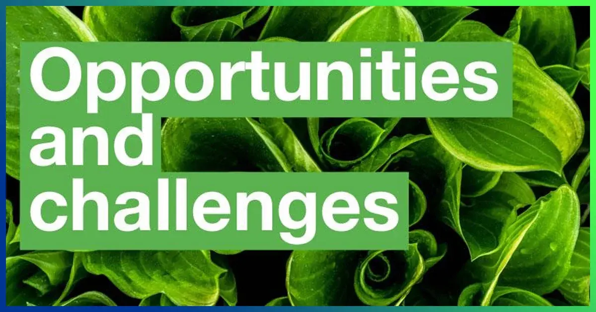 Opportunities and Challenges