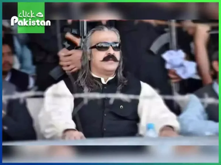 Ali Amin Gandapur