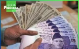 Pakistan's Currency