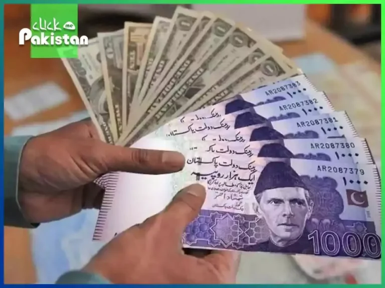 Pakistan's Currency