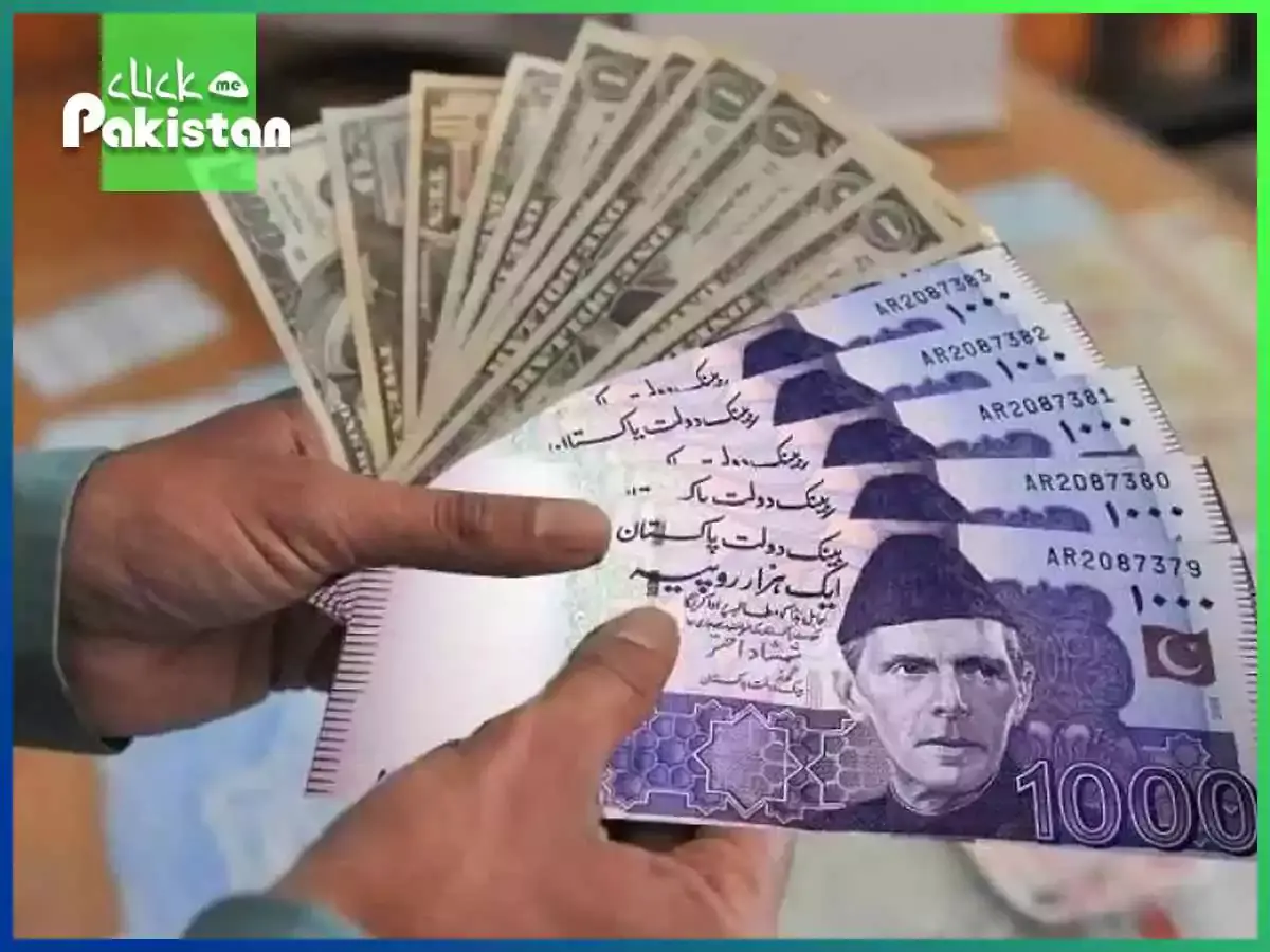 Pakistan's Currency