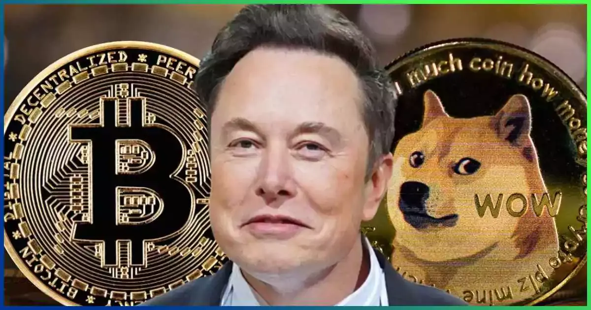 Role Of Elon Musk