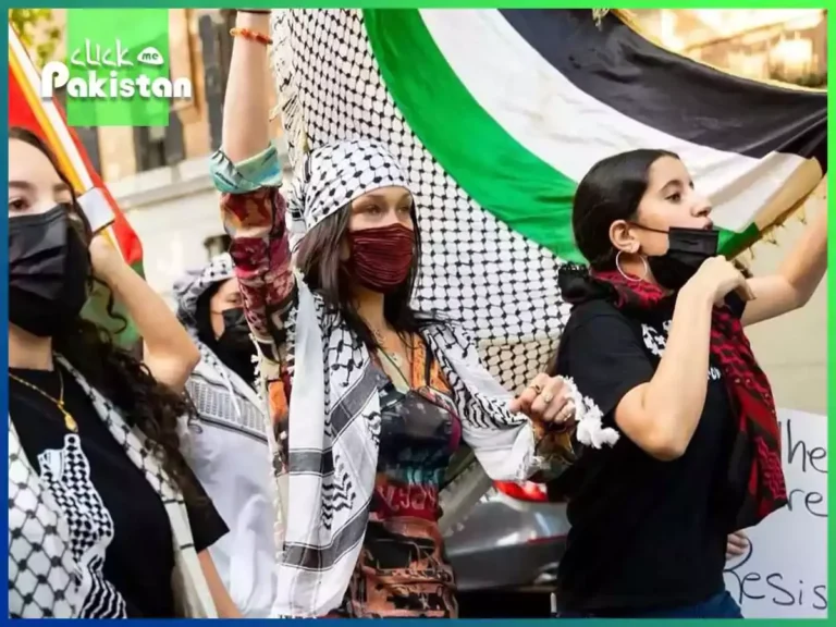 Palestine Advocacy