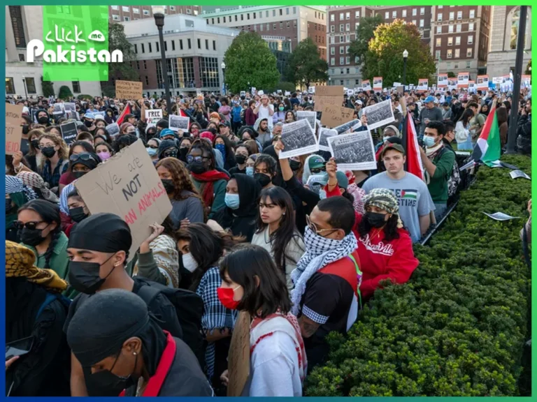 Tensions Arise In US Colleges As Pro-Palestinian Campaigns Take Place