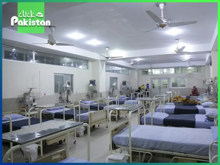 The Horrors Inside Avicenna Medical College