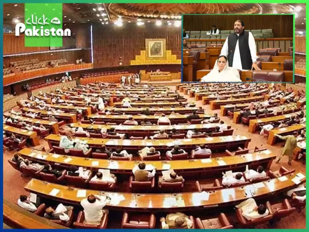 PPP demands new budget and reduction in taxes 2024