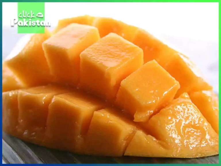 Season Of Mango