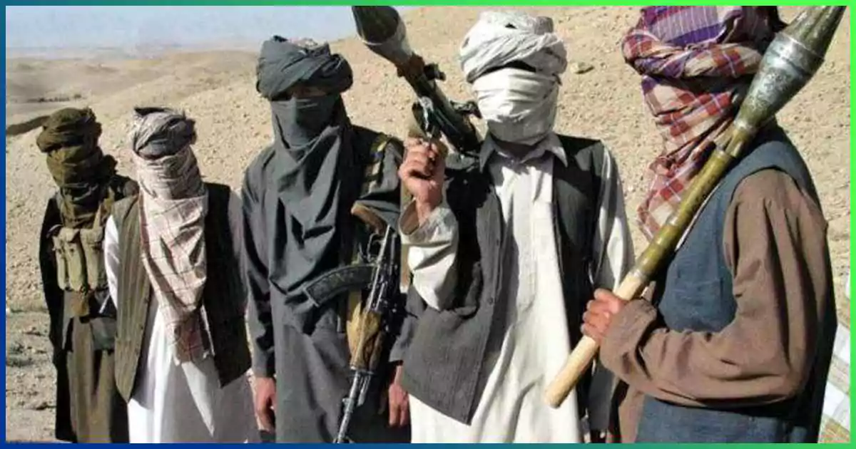 TTP And Its Role In Terrorism 