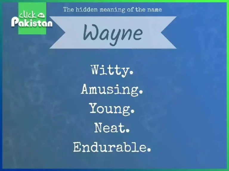 wayne meaning