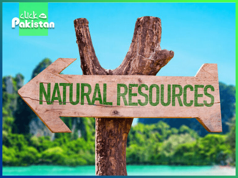 natural resources of Pakistan