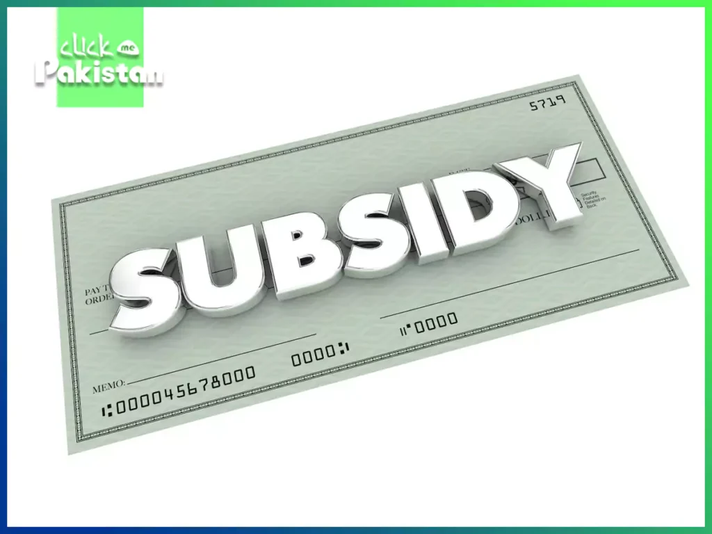 General Subsidy: Recognizing Its Economic Significance