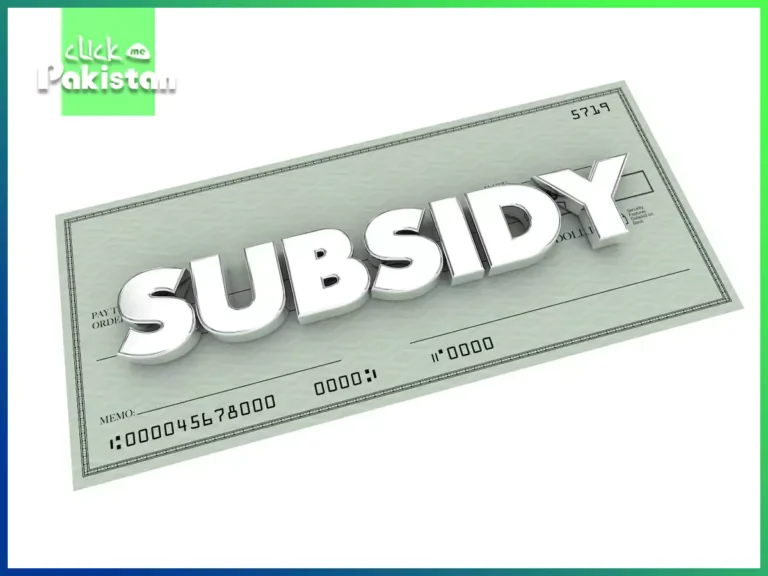 general subsidy